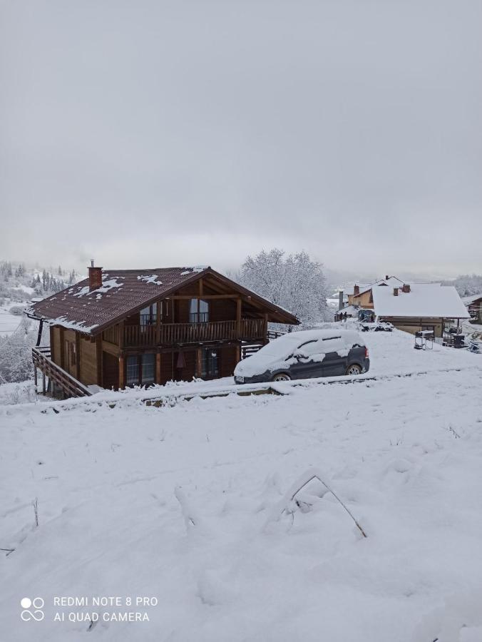 Cottage Kurshevel Slavske Buitenkant foto