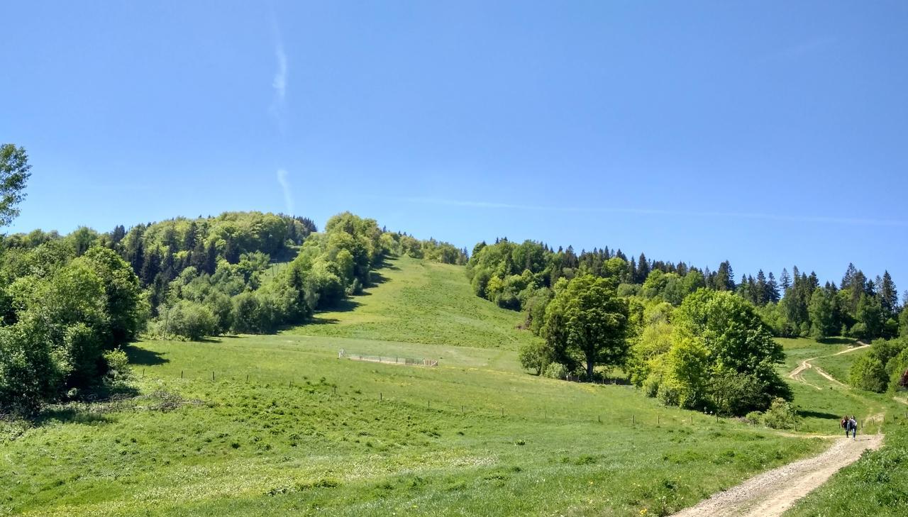 Cottage Kurshevel Slavske Buitenkant foto